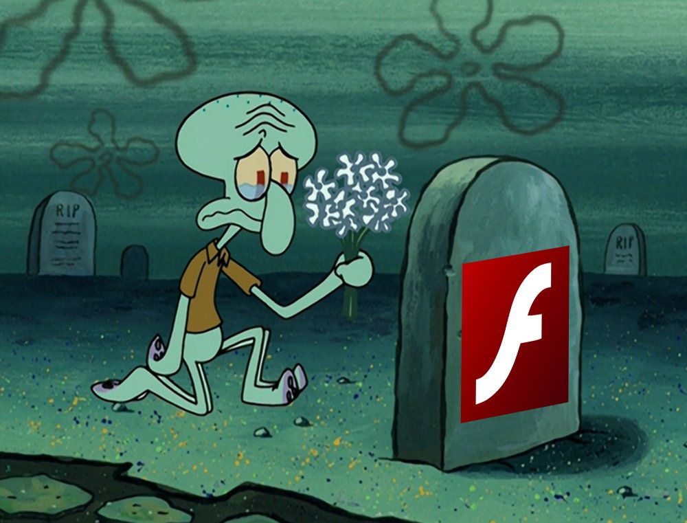 adobe flash